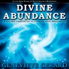 Divine Abundance Guided Meditation art